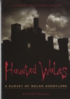 Image for Haunted Wales  : a survey of Welsh ghostlore