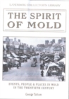 Image for The Spirit of Mold