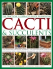 Image for Practical Illustrated Guide to Growing Cacti &amp; Succulents