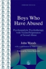Image for Boys who have abused  : psychoanalytic psychotherapy with victim/perpetrators of sexual abuse