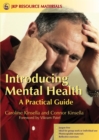 Image for Introducing mental health  : a practical guide