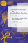 Image for Child welfare services for minority ethnic families  : the research reviewed