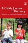Image for A child&#39;s journey to recovery  : assessment and planning with traumatized children