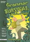 Image for Grammar survival  : a teacher&#39;s toolkit