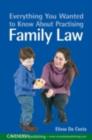 Image for Everything You Wanted to Know About Practising Family Law