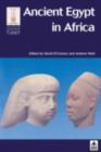 Image for Ancient Egypt in Africa