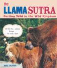 Image for The Llama Sutra