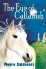 Image for The Eye of Callanish