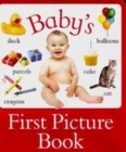 Image for BABYS FIRST WORD BOOK