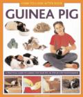 Image for How to look after your guinea pig  : a practical guide to caring for your pet, in step-by-step photographs
