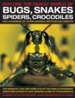 Image for Explore the deadly world of bugs, snakes, spiders, crocodiles and hundreds of other amazing reptiles and insects  : the dramatic lives and conflicts of the world&#39;s strangest creatures shown in 1500 a