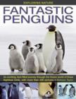 Image for Fantastic penguins  : an exciting, fact-filled journey through the frozen world of these flightless birds, with more than 200 pictures