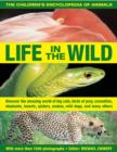 Image for Life in the wild  : discover the amazing world of big cats, birds of prey, crocodiles, elephants, insects, spiders, snakes, wild dogs, and many others