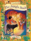 Image for Storyteller Book: the Jungle Book