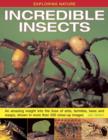 Image for Incredible insects  : an amazing insight into the lives of ants, termites, bees, and wasps, shown in more than 220 close-up images