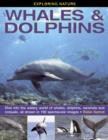 Image for Whales &amp; dolphins  : dive into the watery world of whales, dolphins, narwhals and rorquals, all shown in 190 spectacular images
