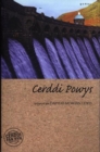 Image for Cerddi Fan Hyn: Cerddi Powys