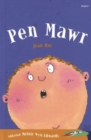 Image for Cyfres ar Wib: Pen Mawr