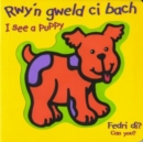 Image for Rwy&#39;n Gweld Ci Bach / I See a Puppy