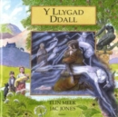 Image for Cyfres Chwedlau o Gymru: Llygad Ddall, Y