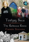 Image for Cyfres Cip ar Gymru / Wonder Wales Series: Terfysg Beca / The Rebecca Riots