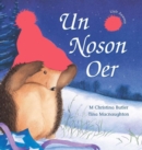 Image for Cyfres Draenog Bach: Un Noson Oer