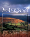 Image for Companion tales to the Mabinogi