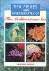 Image for Sea fishes and invertebrates of the Mediterranean