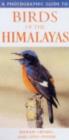 Image for A Photographic Guide to Birds of the Himalayas
