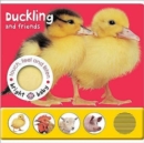 Image for Touch, Feel and Listen - Duckling and Friends