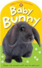 Image for Baby bunny  : these cute creatures can&#39;t wait to meet you!