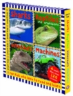 Image for Smart Kids Sticker Books Slipcase