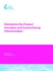 Image for Disinfection By-Product Formation and Control During Chloramination