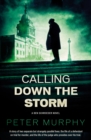 Image for Calling down the storm: a Ben Schroeder novel