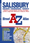 Image for Salisbury Street Atlas