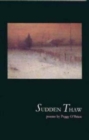 Image for Sudden Thaw