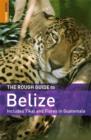 Image for The rough guide to Belize