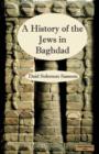 Image for The History of the Jews in Baghdad