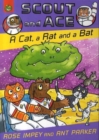Image for A Cat, a Rat and a Bat