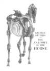 Image for Anatomy of the Horse
