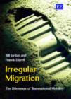 Image for Irregular Migration