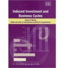 Image for Induced investment and business cycles