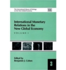 Image for International money relations in the new global economy
