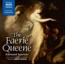 Image for The faerie queene