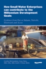 Image for How Small Water Enterprises can Contribute to the Millenium Development Goals