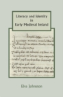 Image for Literacy and Identity in Early Medieval Ireland