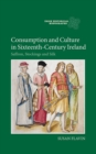 Image for Consumption and culture in sixteenth-century Ireland  : saffron, stockings and silk