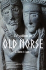 Image for Emotion in Old Norse literature  : translations, voices, contexts