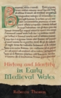 Image for History and identity in early medieval Wales