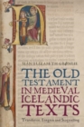 Image for The Old Testament in medieval Icelandic texts  : translation, exegesis and storytelling